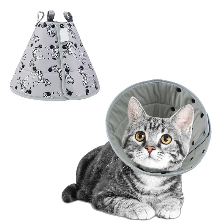Μαλακή ανάκαμψη Pet Cone Conlar Colar Catr Coll Collar Recovery Collar